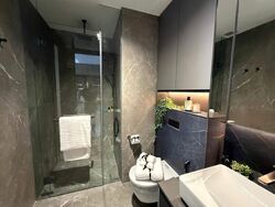 Irwell Hill Residences (D9), Apartment #467232031